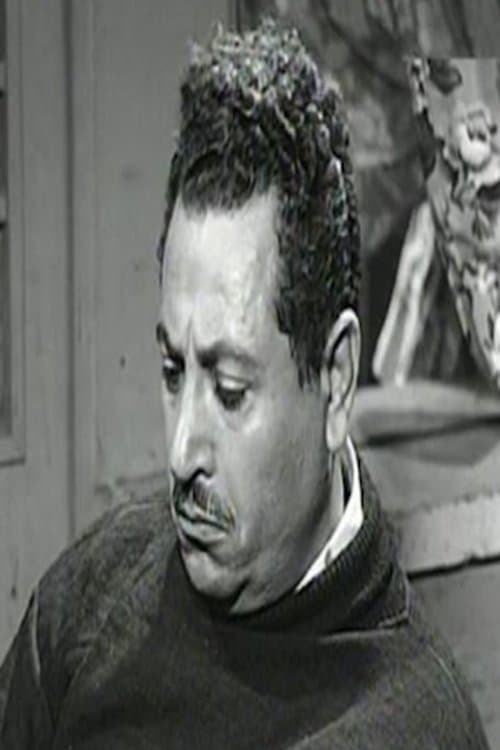 Ali ElMoaawen image