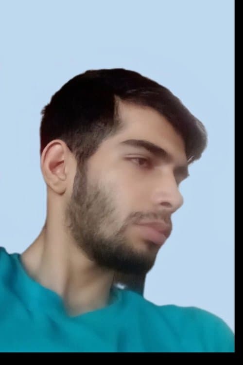 Alireza Jadidi image