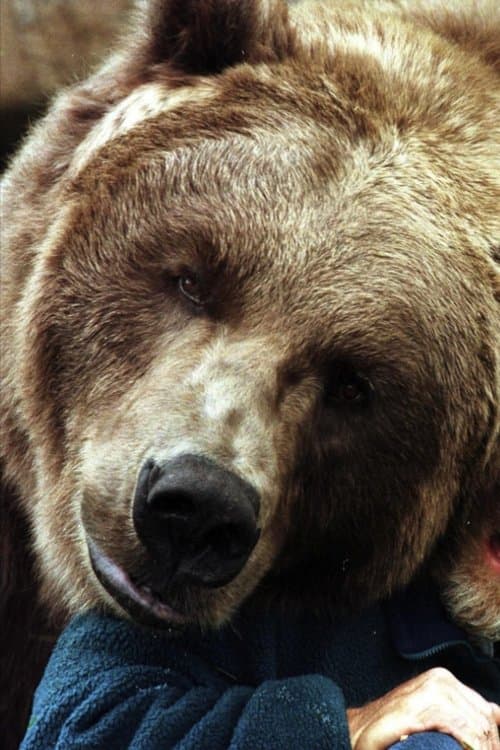 Bart the Bear II image