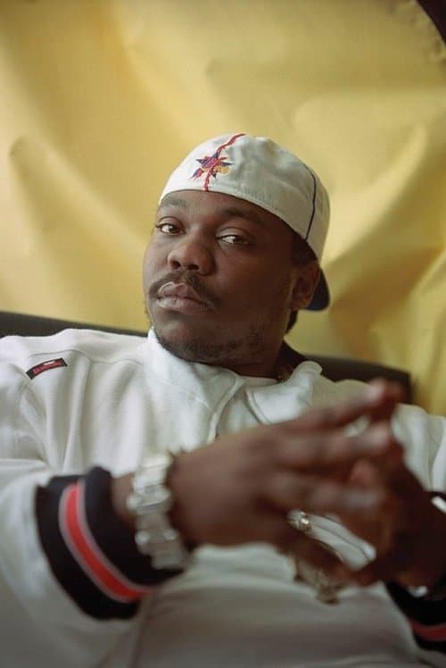 Beanie Sigel image