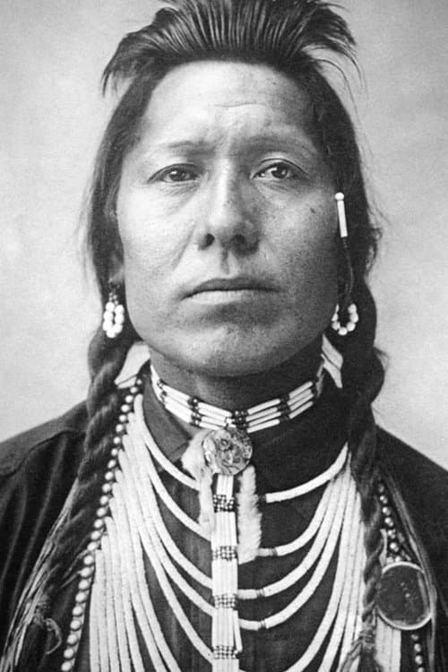 Chief Thundercloud image