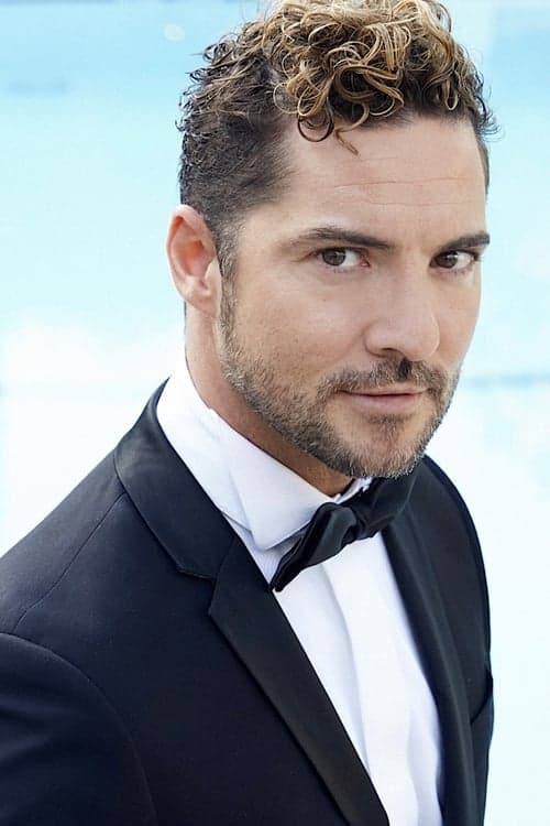 David Bisbal image
