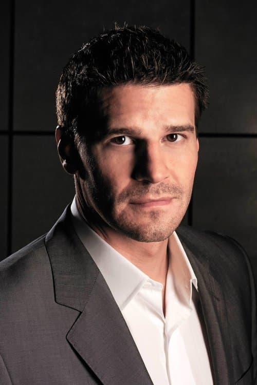 David Boreanaz image