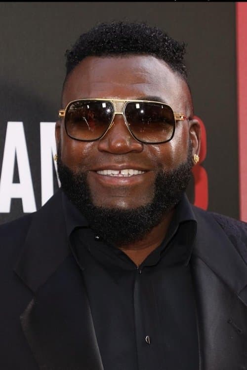 David Ortiz image