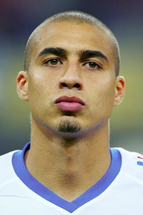 David Trezeguet image