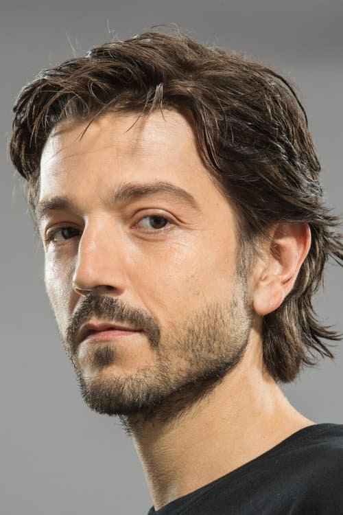 Diego Luna image