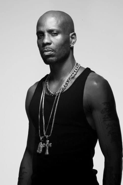 DMX image