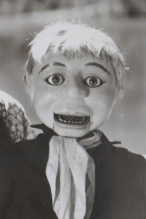 Elmer image