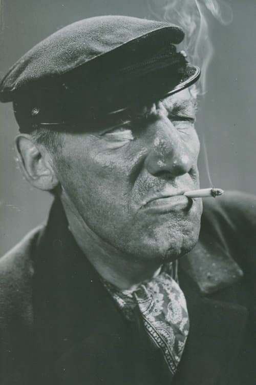 Emil Fjellström image