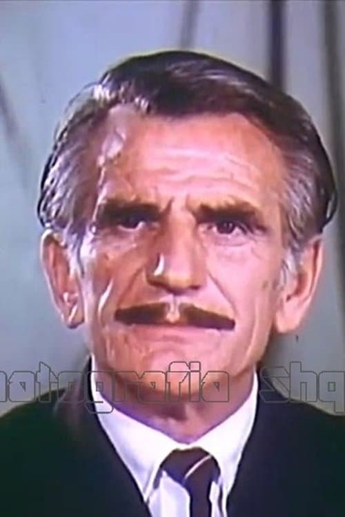 Enver Dauti image