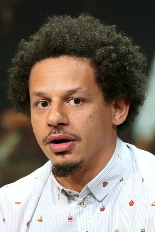 Eric André image