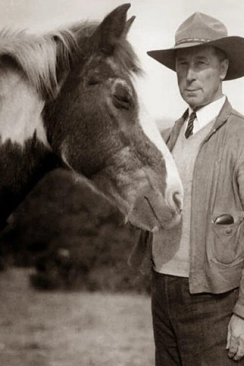 Fritz the Horse image