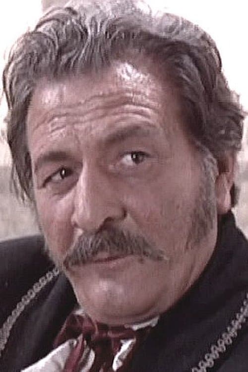 Furio Meniconi image