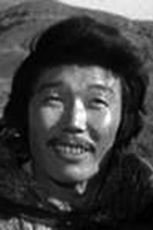 Gennadi Danzanov image