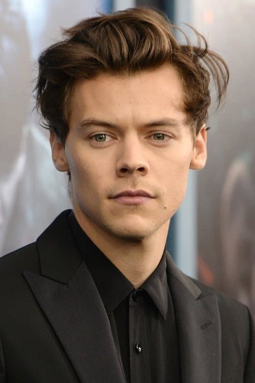 Harry Styles image