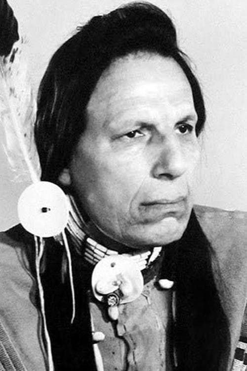 Iron Eyes Cody image