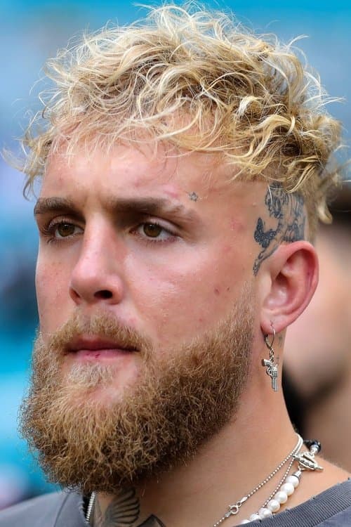 Jake Paul image