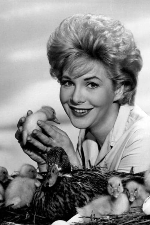 Jan Shepard image