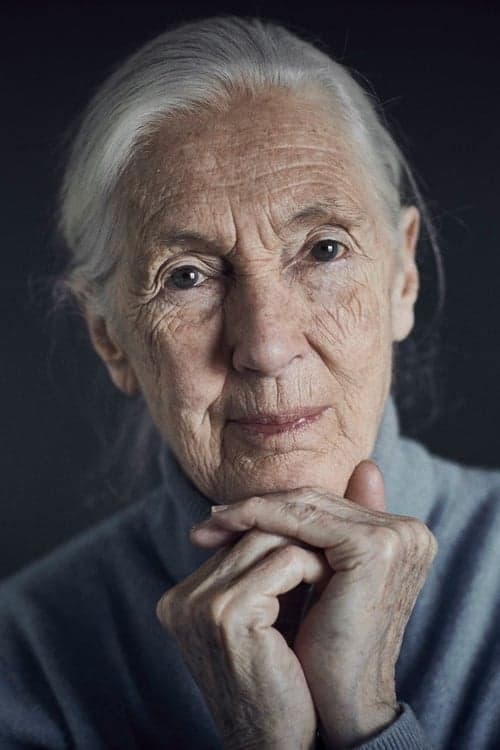 Jane Goodall image