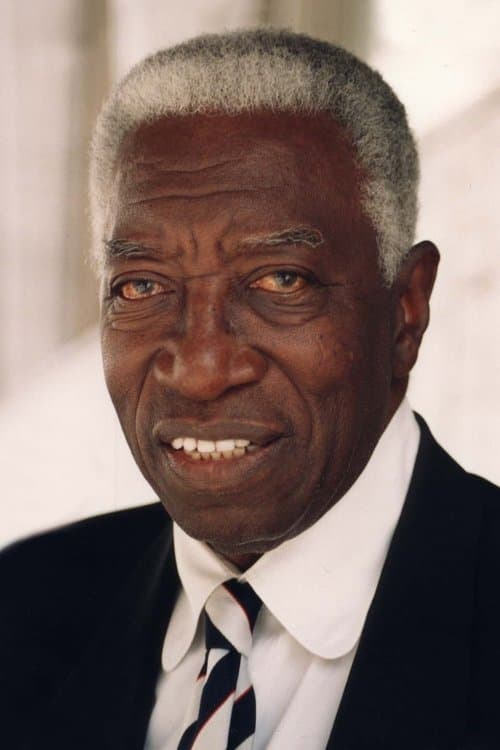 Joe Williams image
