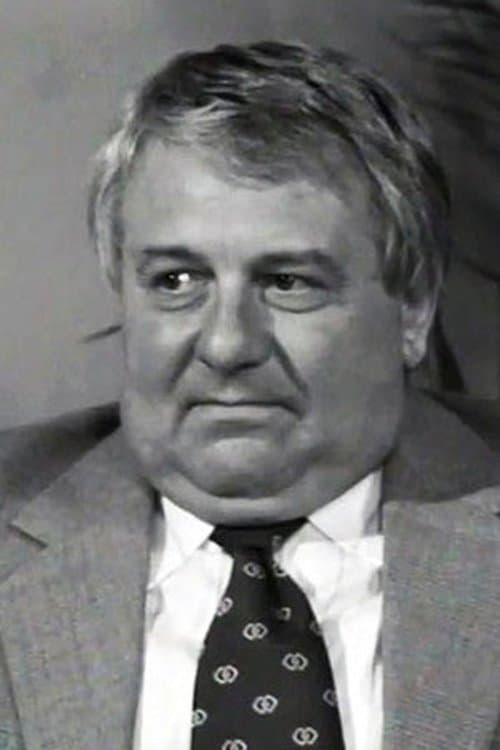 Josef Karlík image