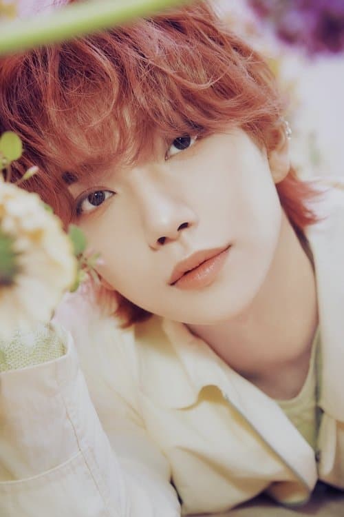 Joshua image