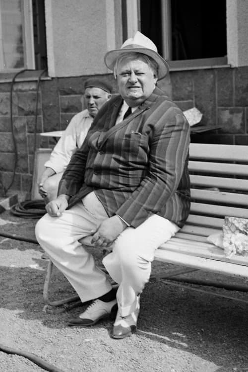 József Szendrő image