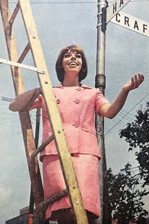 Judy Knaiz image