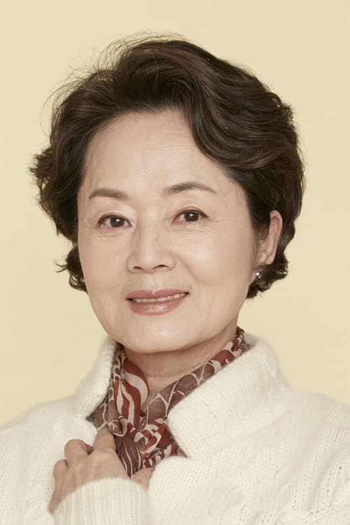 Kim Young-ae image