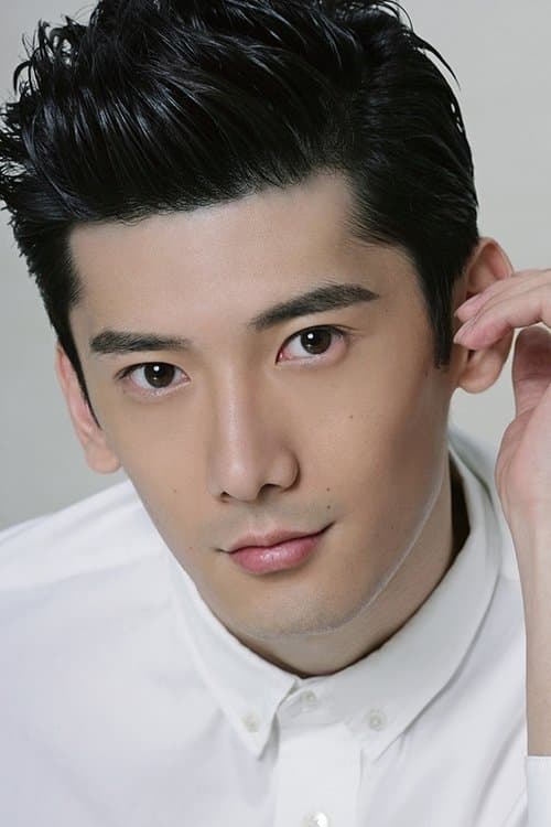 Liu Ruilin image