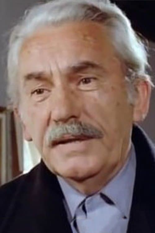 Lütfü Seyfullah image