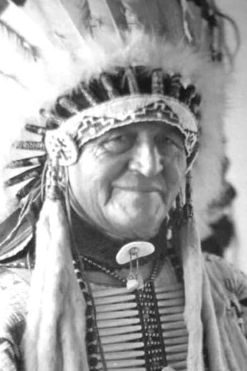 Luther Standing Bear image