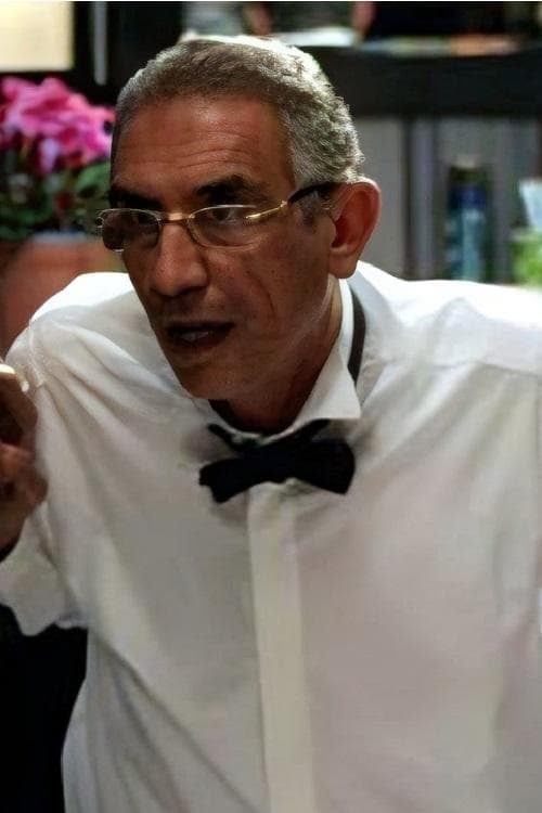 Mahmoud ElFishawy image