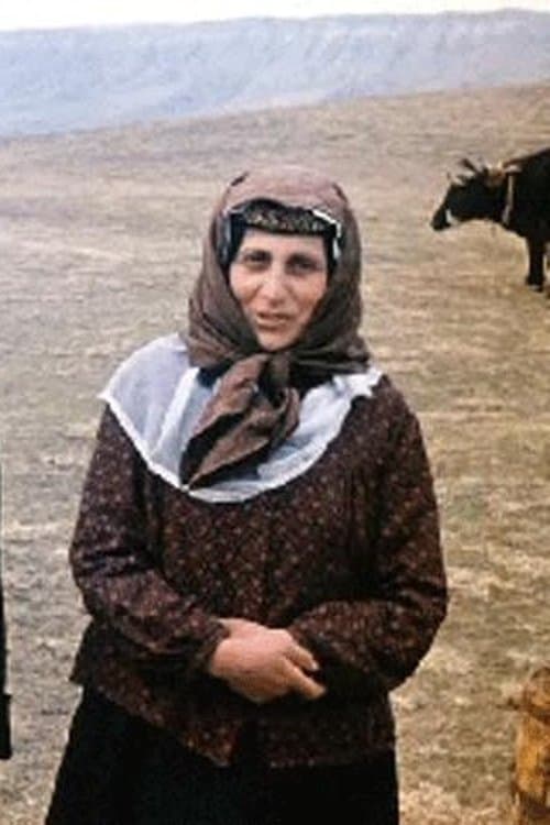 Margo Gvaramadze image