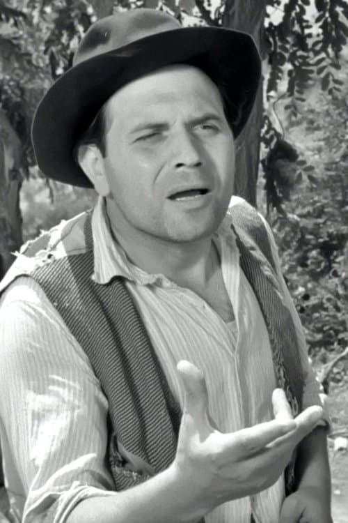 Mario Meniconi image