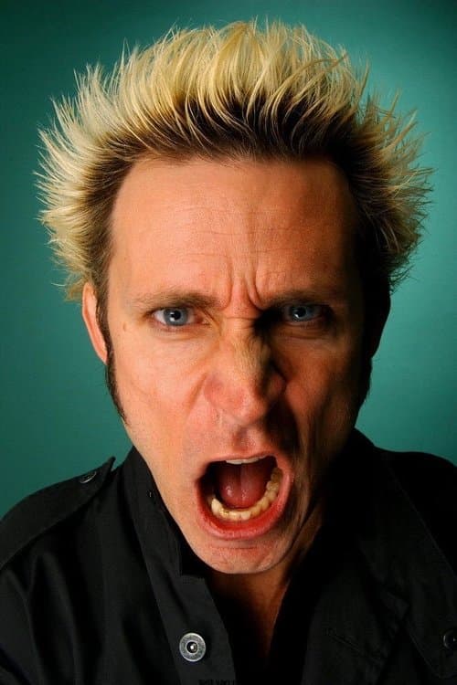 Mike Dirnt image