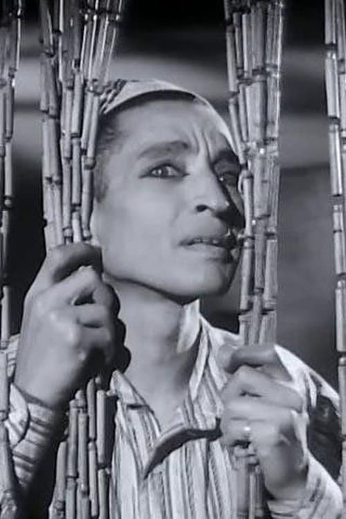 Mounir ElFangary image
