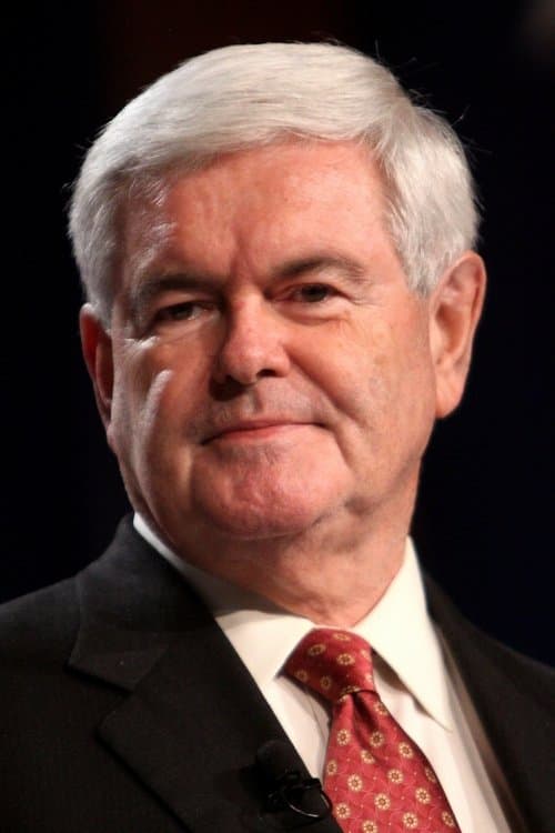Newt Gingrich image