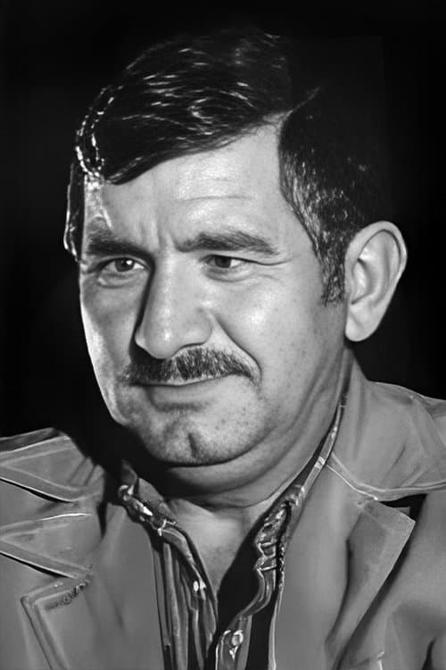 Nizam Ergüden image