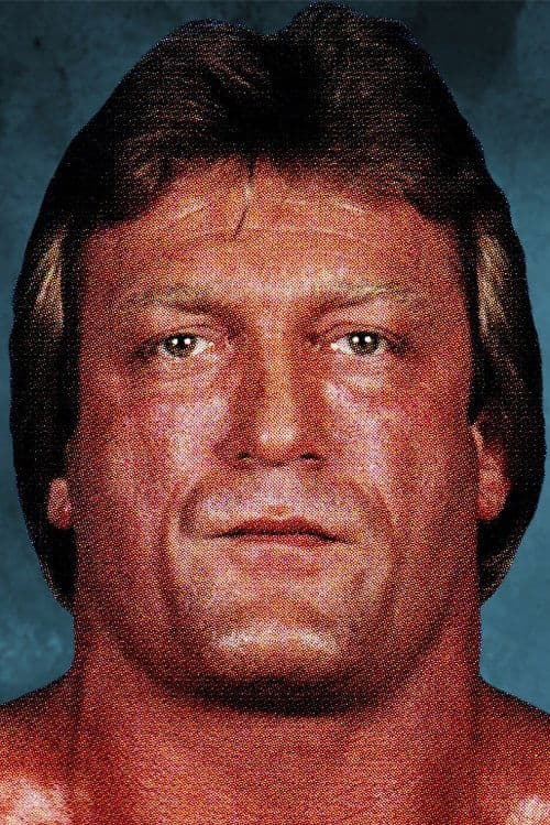 Paul Orndorff image