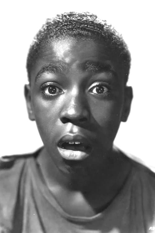Paul White image