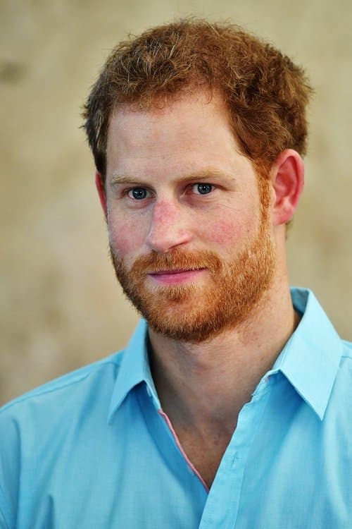 Prince Harry, Duke of Sussex image