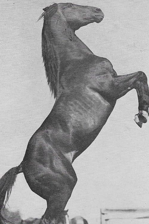 Rex image