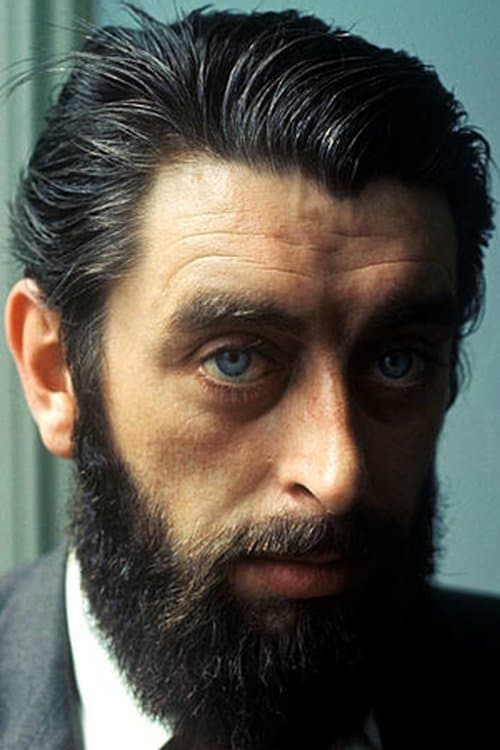 Ronnie Drew image