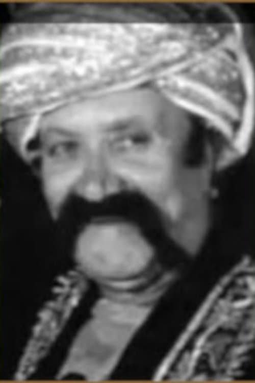 Sadidin Bakdunis image
