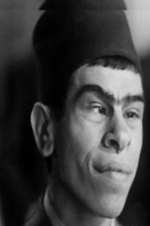 Safa El Gamil image
