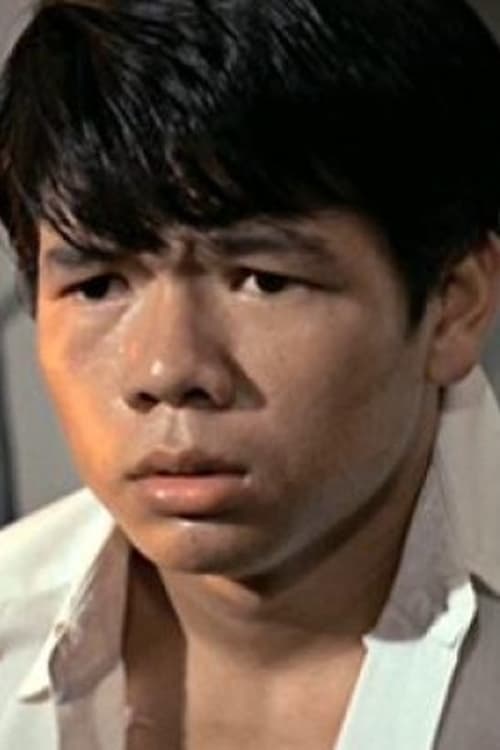 Sham Chin-Bo image