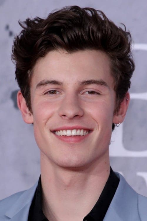 Shawn Mendes image