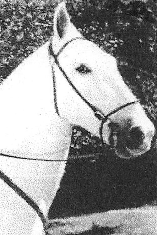 Silver King the Horse image