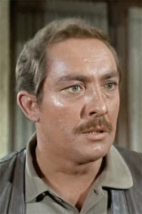 Steve Ihnat image